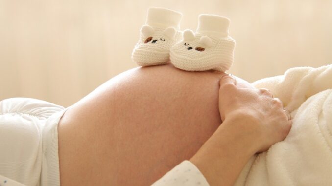assunzione per sostituzione maternità