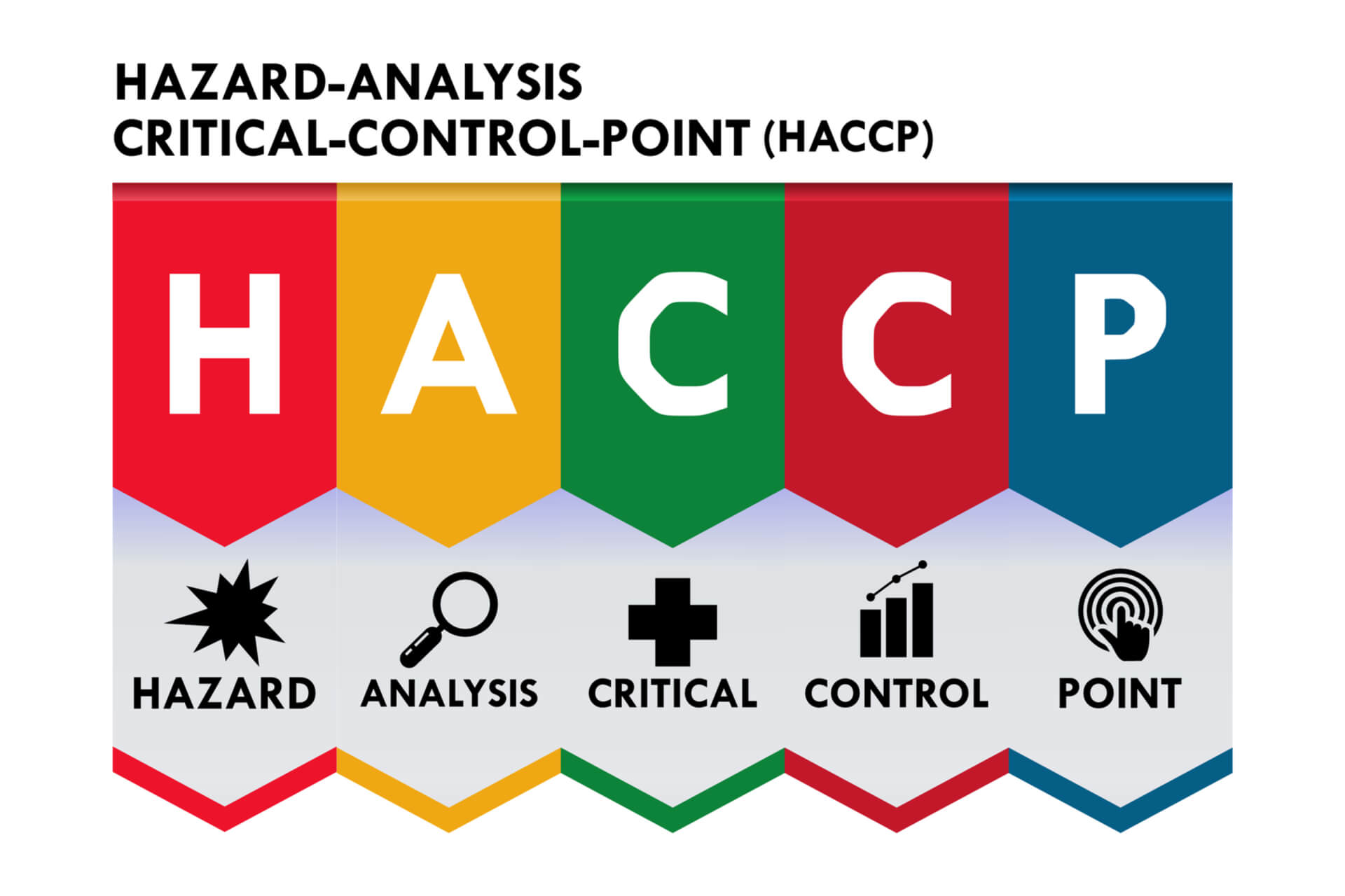 Manuale di autocontrollo HACCP, a cosa serve e come richiederlo