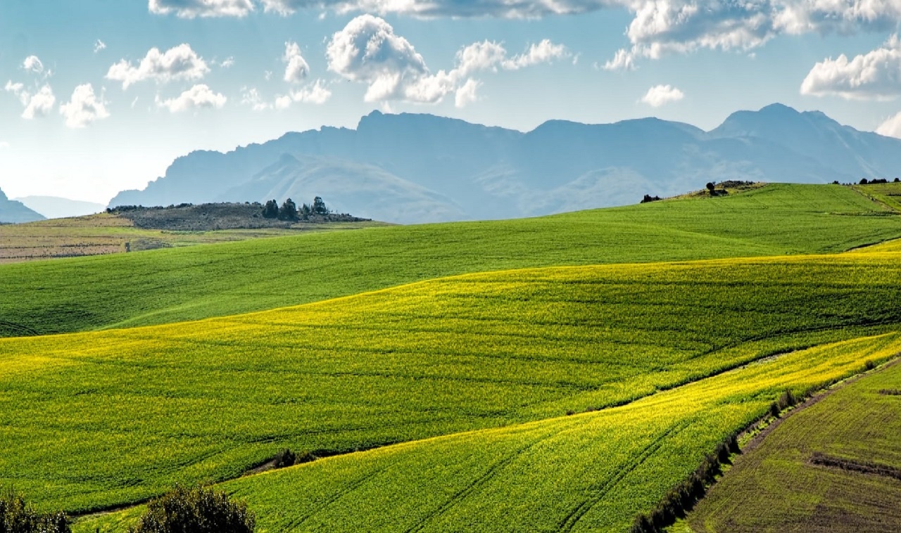 Comprare un terreno agricolo, quali tasse sono da pagare?