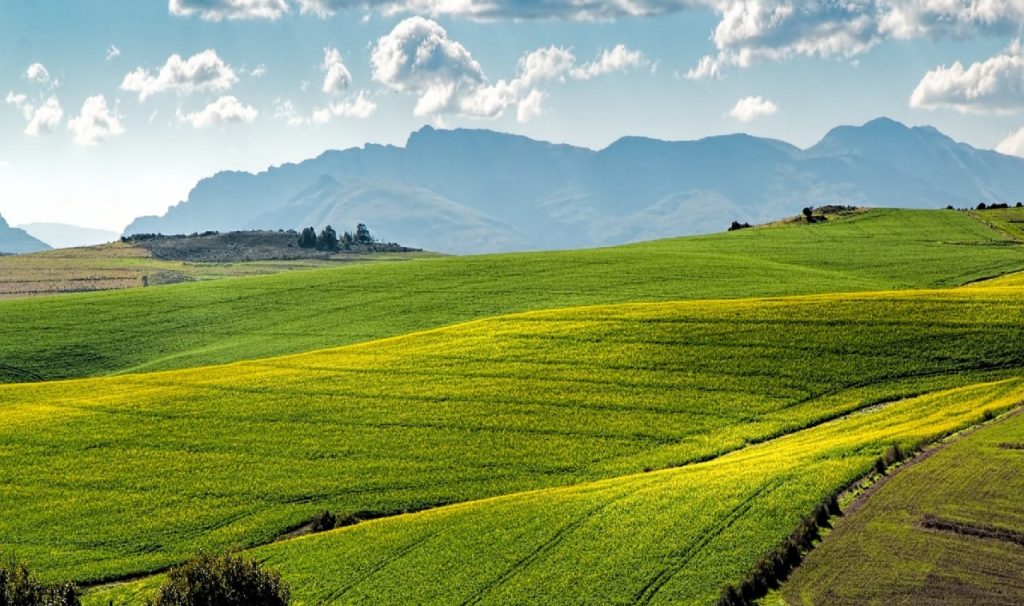 Simest: dal 28 ottobre presentazione domanda per il fondo perduto delle PMI digitali, green e di e-commerce