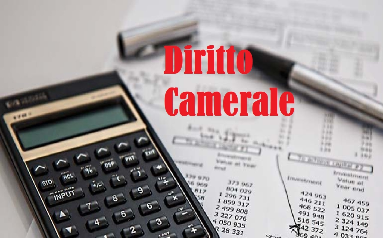 Diritto Camerale: cos’è, come e quando si paga