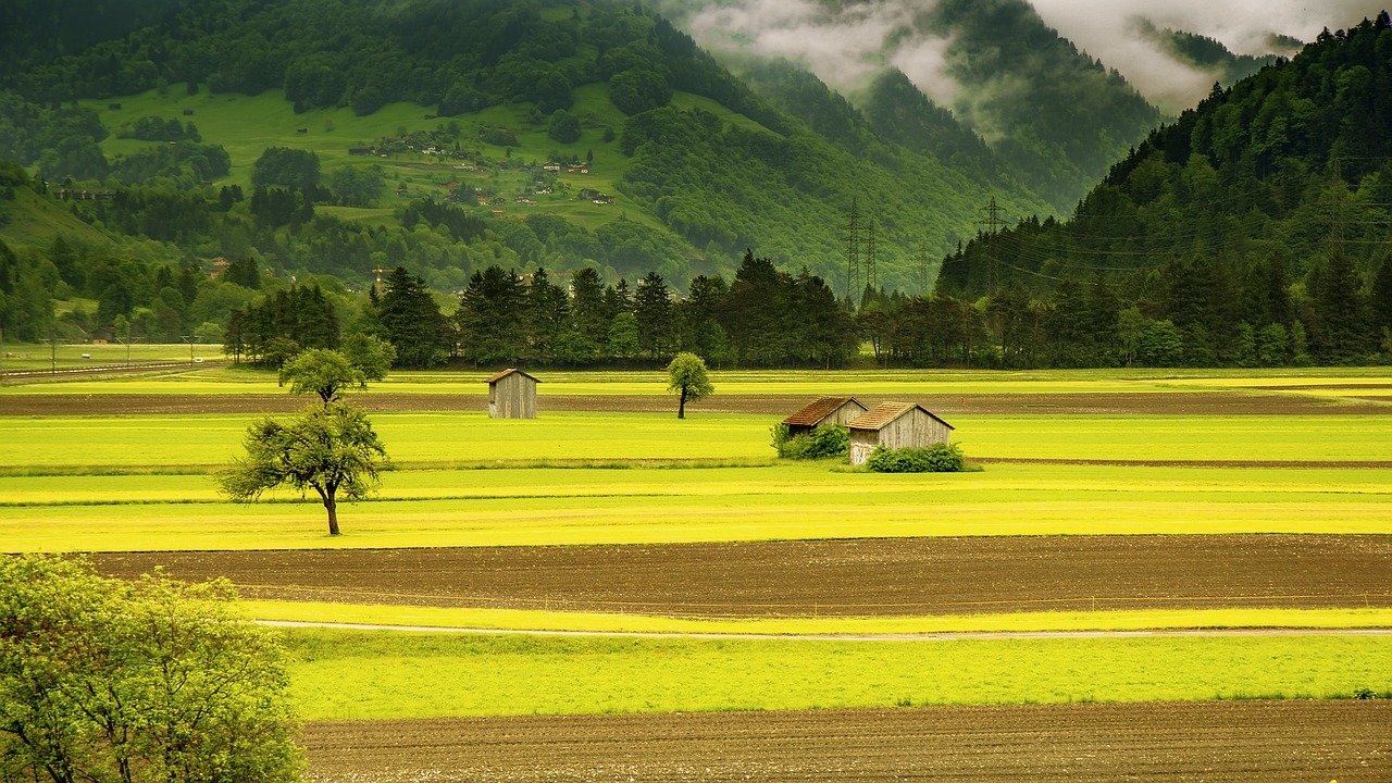 Agricoltura: chi è il piccolo colono e come funziona il contratto