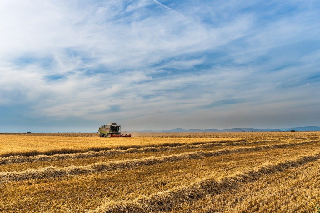 Chi è e cosa fa l'imprenditore agricolo