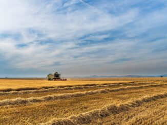 Chi è e cosa fa l'imprenditore agricolo