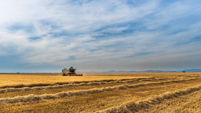 Chi è e cosa fa l'imprenditore agricolo