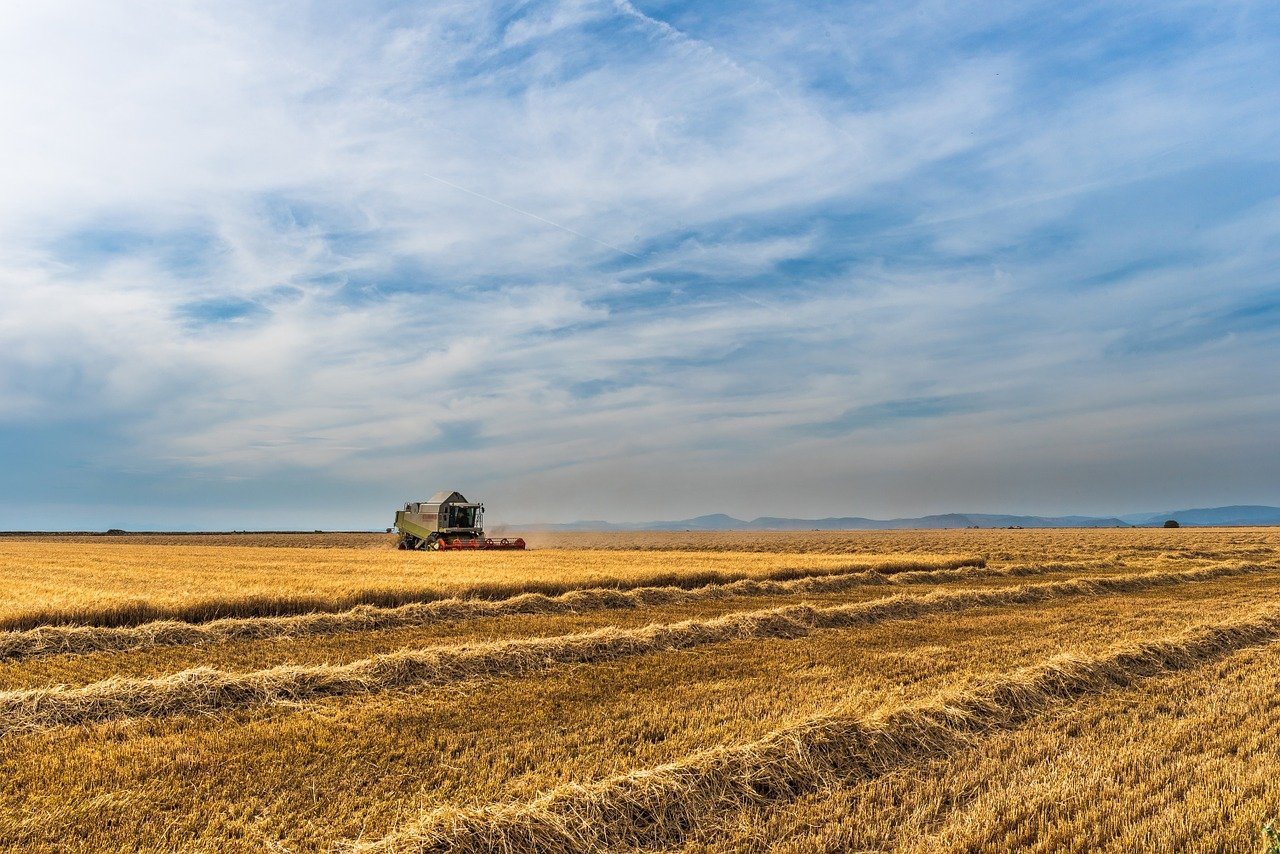 Chi è e cosa fa l'imprenditore agricolo