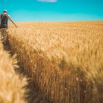 ape sociale agricoltori