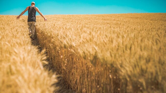 ape sociale agricoltori