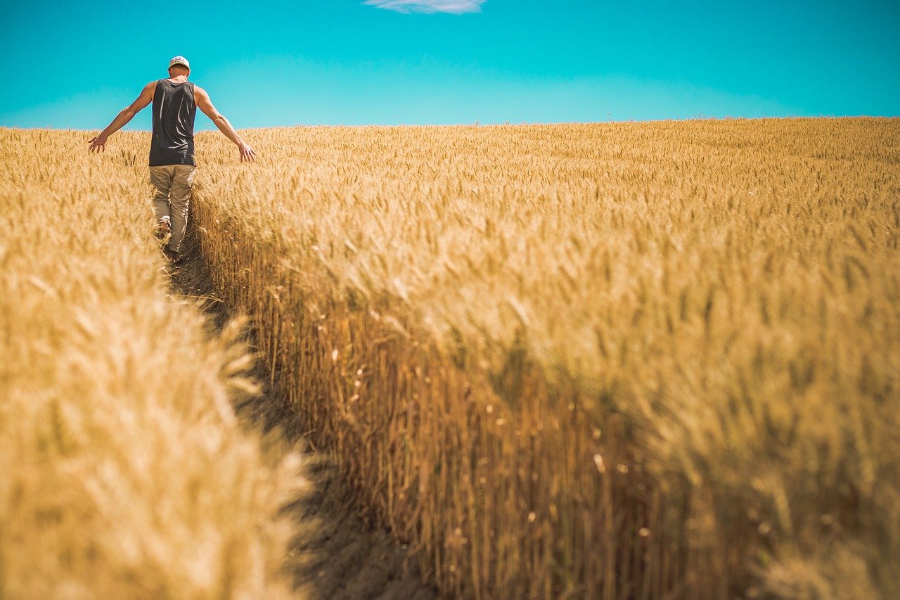 Pensioni, all’Ape sociale possono accedere gli agricoltori