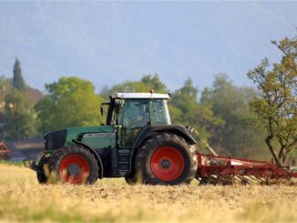 disoccupazione agrciola