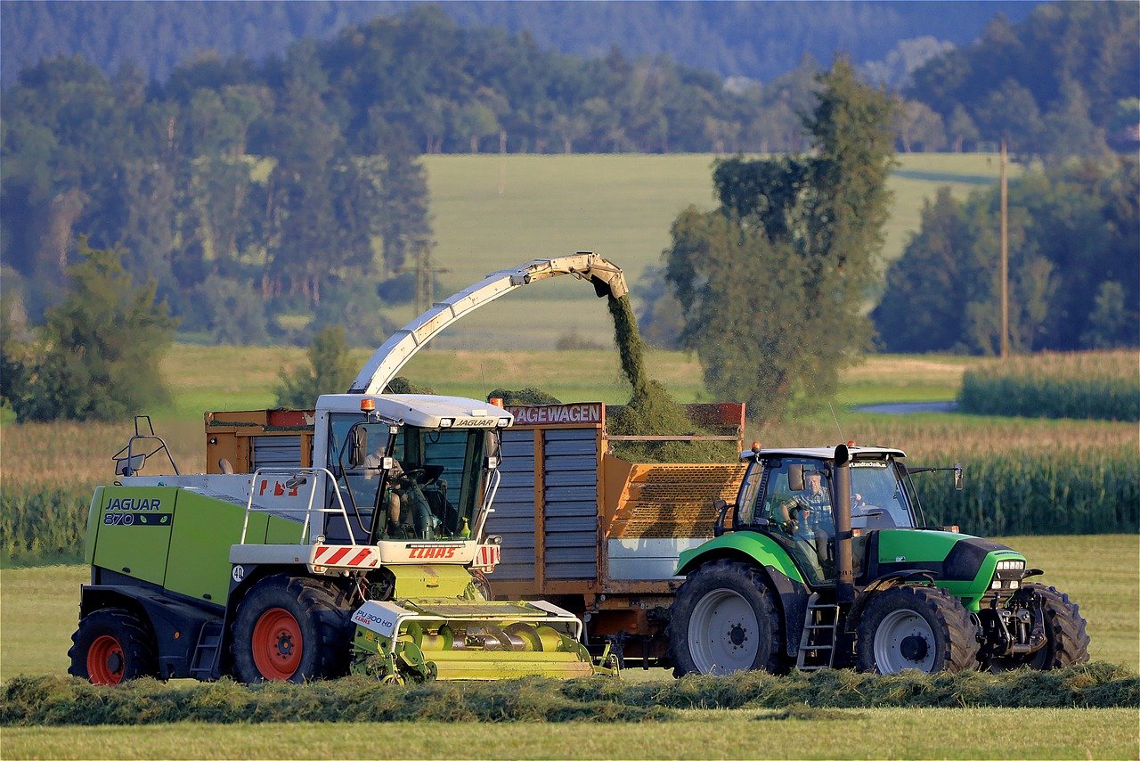 Credito per il Mezzogiorno per l’agricoltura: come funziona