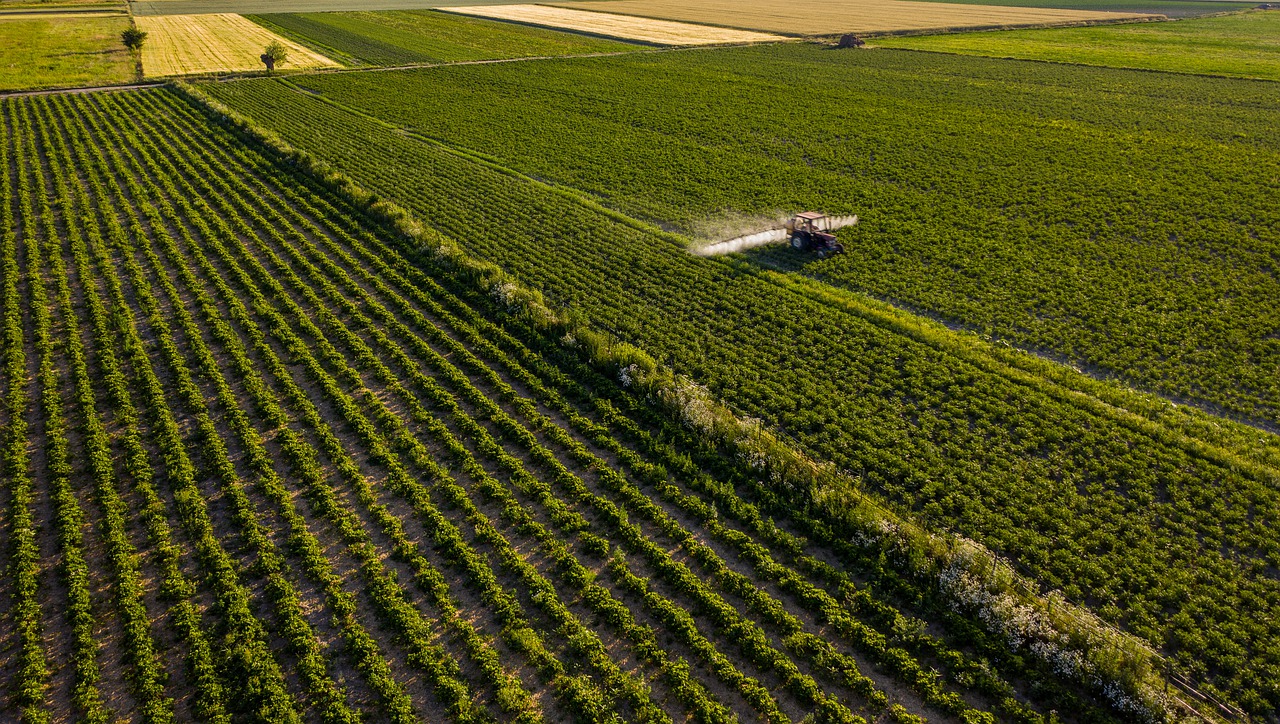 Agricoltura: arriva Generazione Terra, il contributo per gli imprenditori agricoli