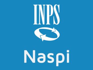 Naspi: proposte del nuovo governo