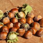 progetto nocciola italia