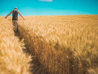 disoccupazione agricola