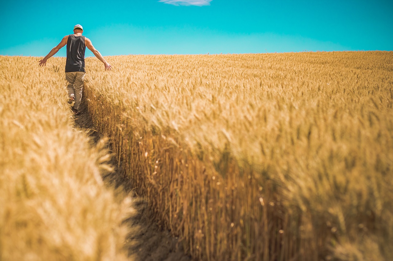 disoccupazione agricola