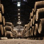 piano nazionale di sostegno al settore vitivinicolo