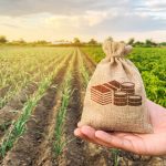 incentivi agricoltura