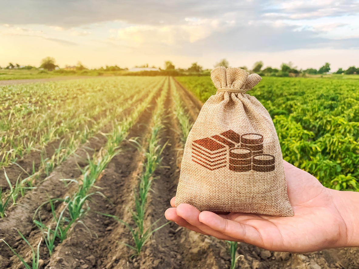 Agricoltura, in arrivo contributi per la crisi Ucraina: aiuti imprese per 35mila euro