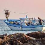 agricoltura e pesca