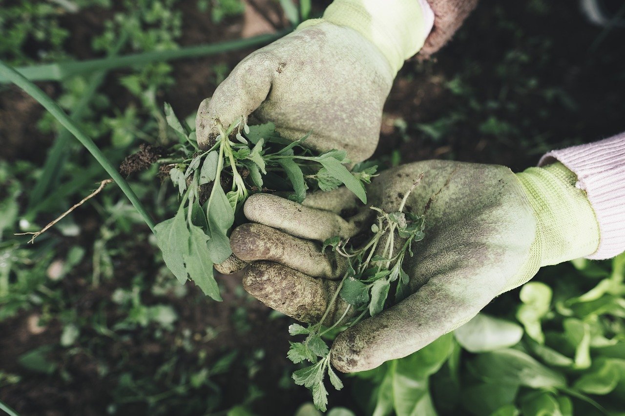 lavoratori agricoli