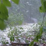 calamità naturali
