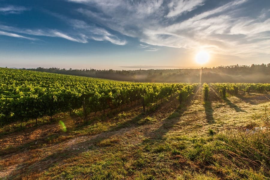 Usucapione di un terreno: ecco cosa serve sapere