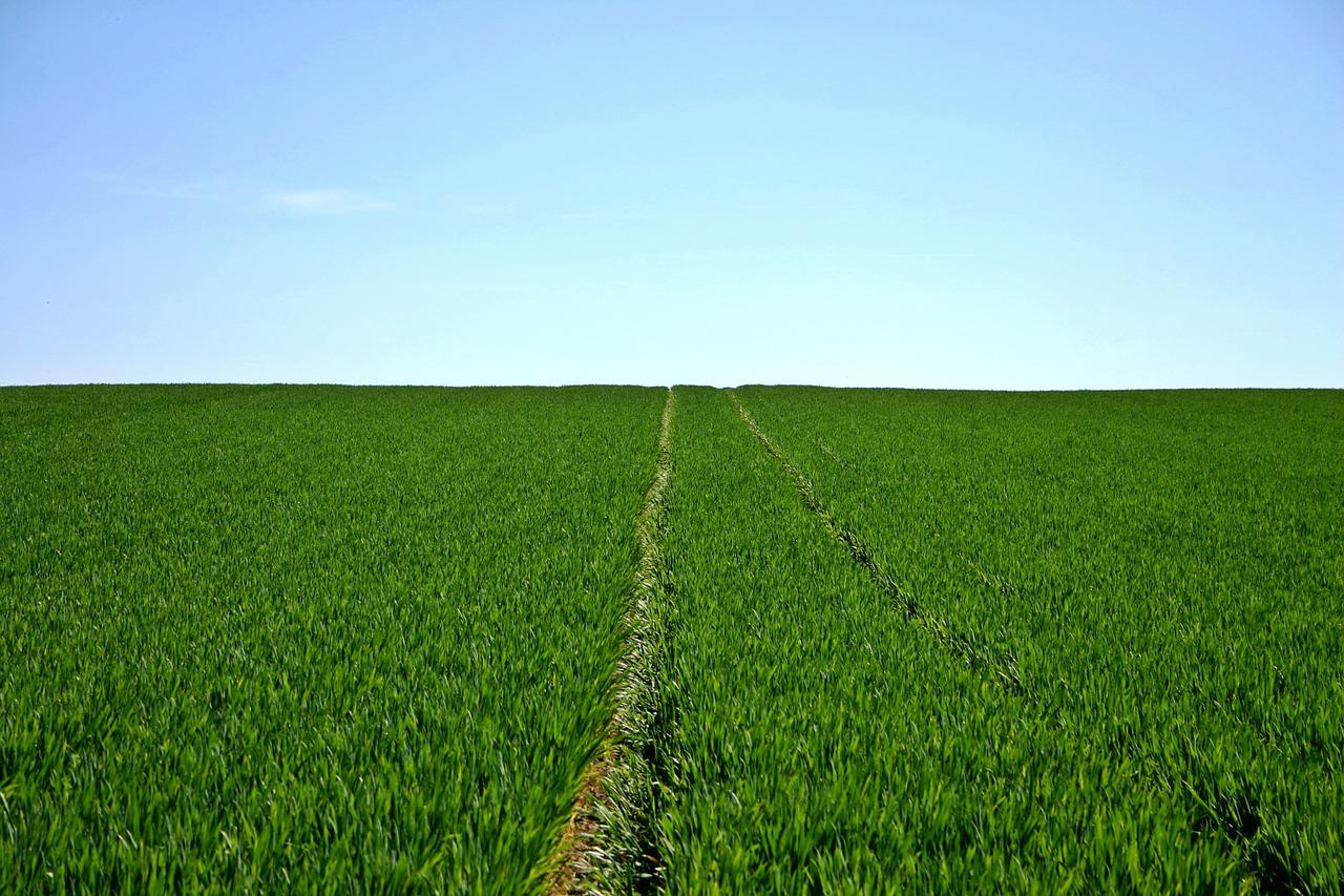 Per gli agricoltori l’esenzione Irpef come spiegata dall’Agenzia delle Entrate