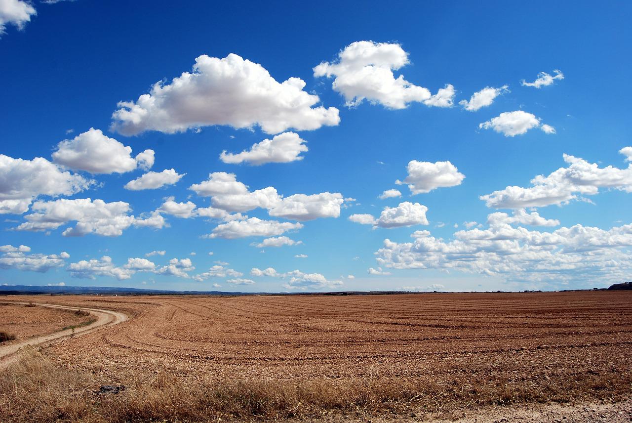 Sos siccità, è rischio per le imprese agricole e di bestiame