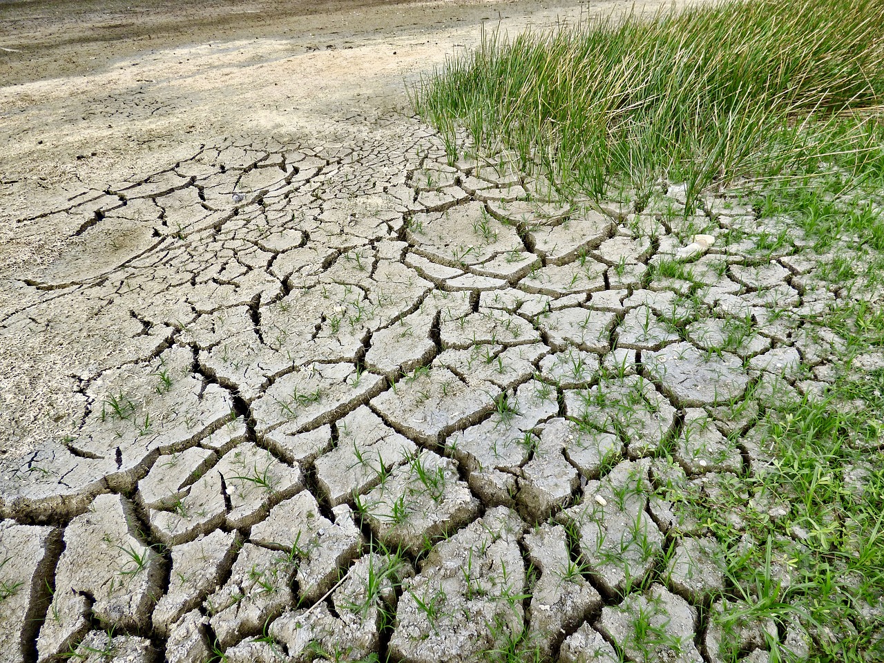 Stato di emergenza per 5 regioni, tra piogge e siccità,