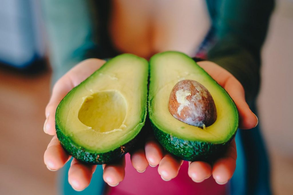 coltivare avocado