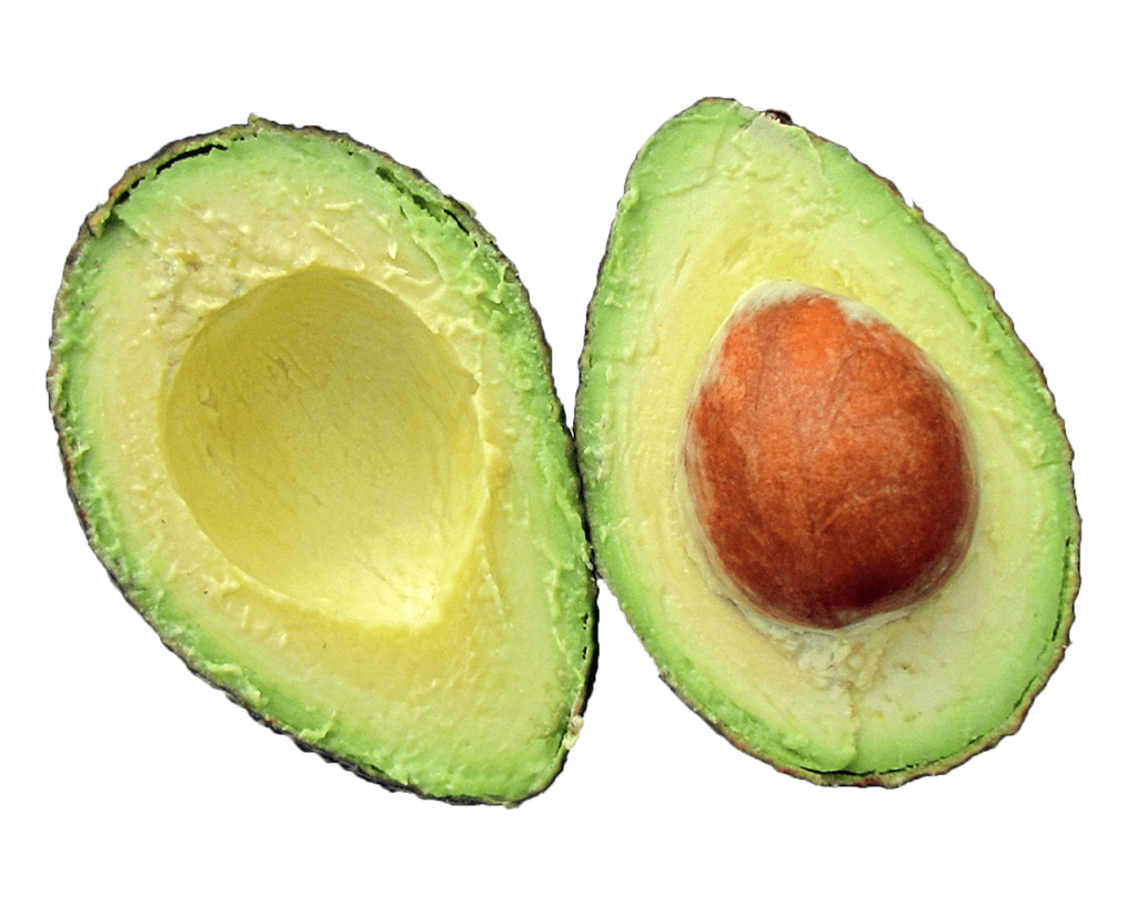 coltivazioni tropicali