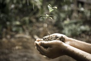 misure di contrasto alla siccità