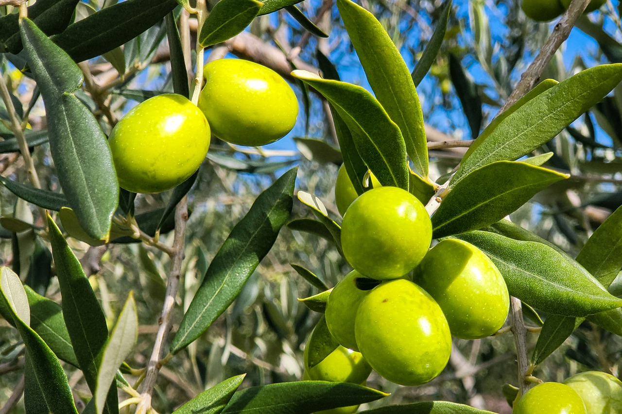 Stufa a pellet: come trasformarla per bruciare nocciolino e risparmiare ?