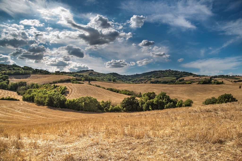 Maltempo e caldo, i prezzi dei prodotti agricoli alle stelle