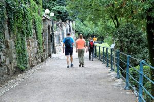 detrazioni istruzione