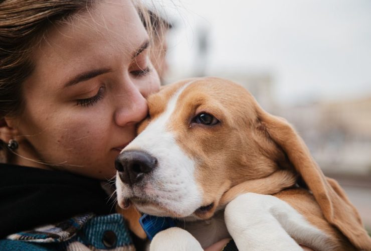 L'aiuto per i proprietari di animali domestici