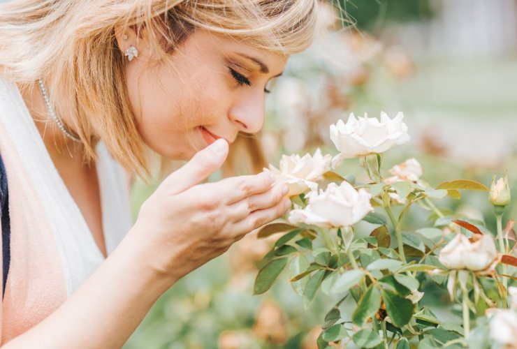Bonus puliti e profumati come l'odore dei fiori
