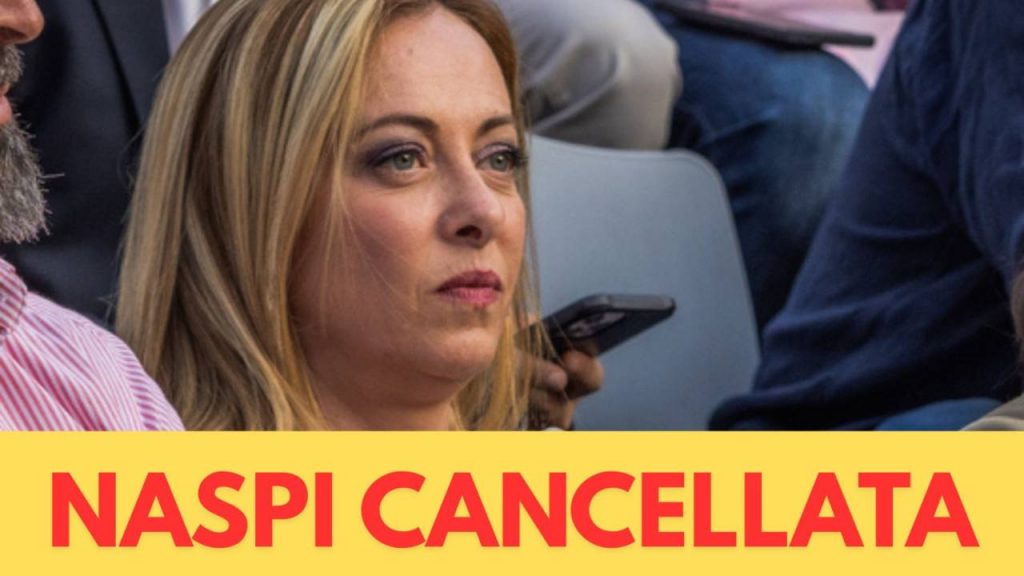Naspi cancellata