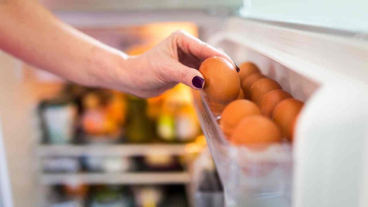 Le uova si conservano nello scomparto centrale del frigo