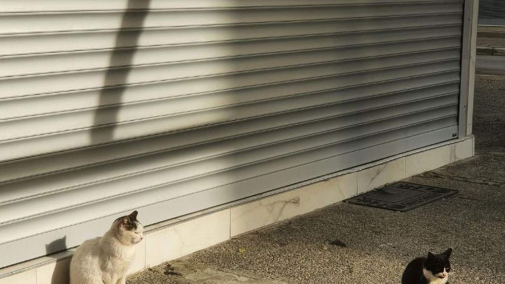 Caos per la storica azienda