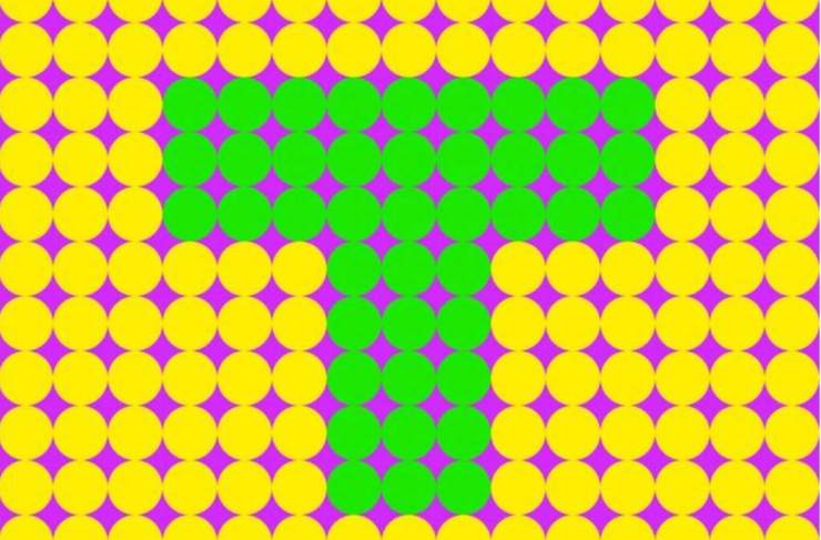 Il test visivo che sta facendo impazzire la rete