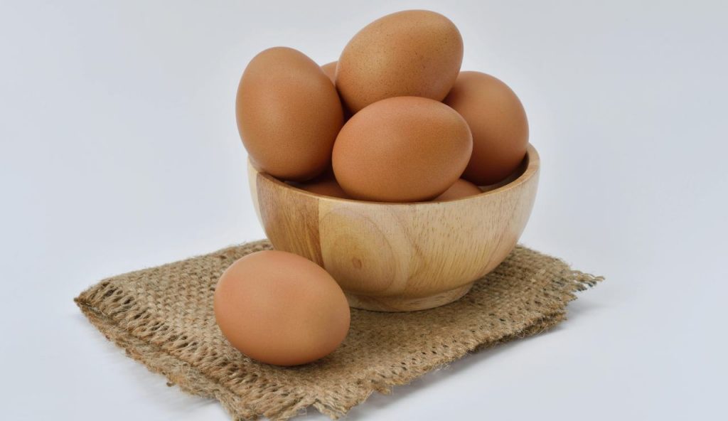 Ministero della Salute è disperato: vi prego non mangiate queste uova | Vi beccate la salmonella fulminante