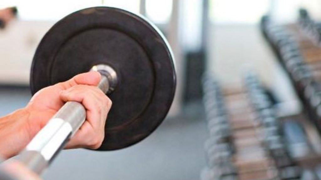 Palestra (web) - Infoiva.it