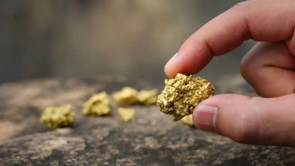 Pepita di oro (web) - Infoiva.com