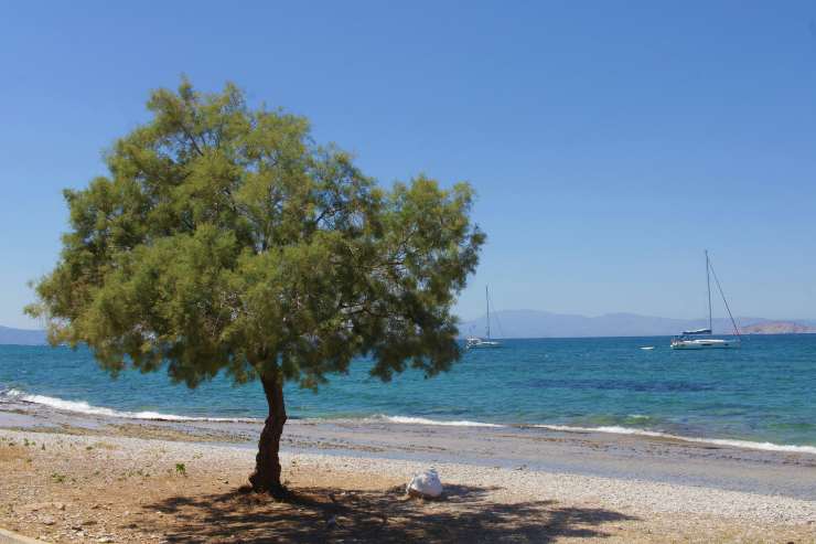 spiaggia di agistri