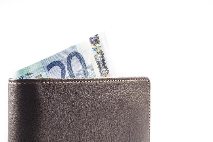 portafoglio cin 20 euro
