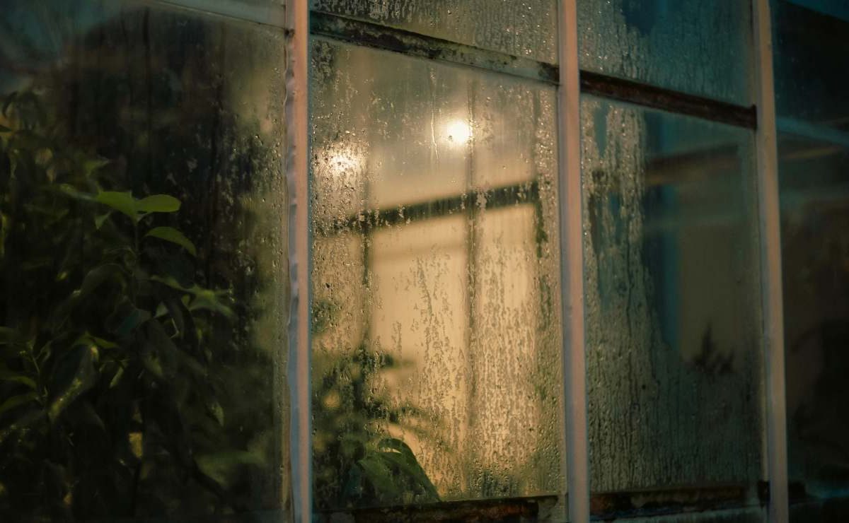 Casa umida, la colpa è tutta tua: si tratta di un errore comunissimo | Lo fanno in molti ma senza accorgersene