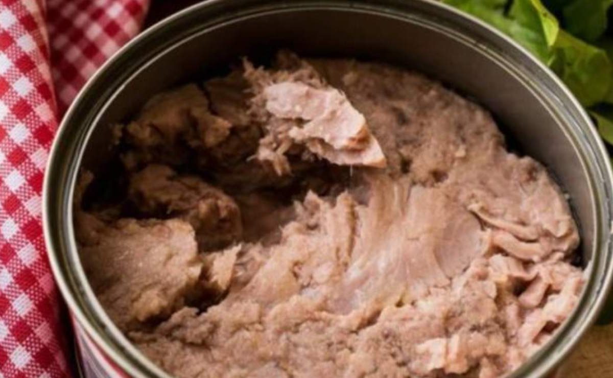 Tonno in scatola, l’olio non va mai gettato via | Contiene sostanze incredibili: ecco di cosa si tratta